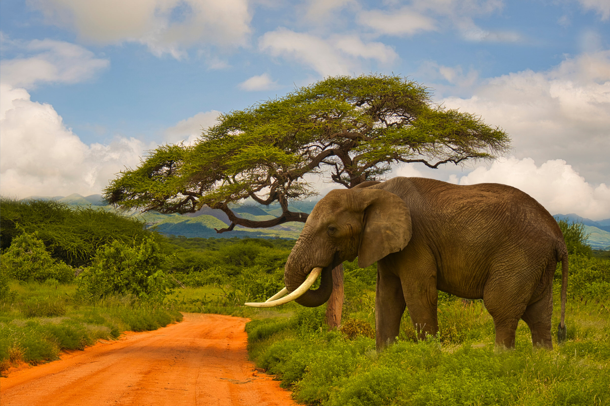 3 DAYS CHUYULU HILLS & TSAVO WEST